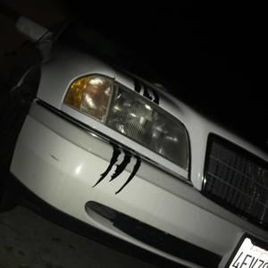 Meet your Posher, Hayden